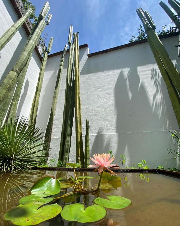 Casa Mayo B&B Oaxaca Bagian luar foto