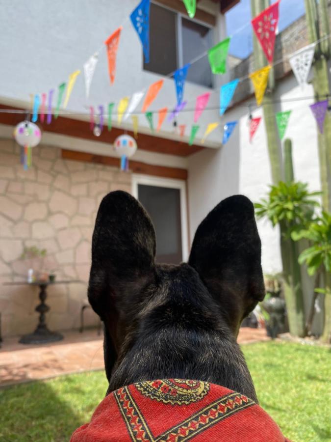 Casa Mayo B&B Oaxaca Bagian luar foto